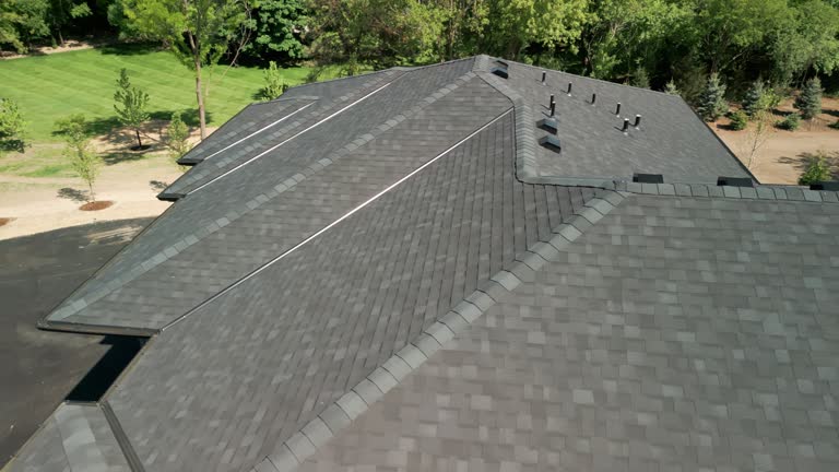 Best Roof Ventilation Installation  in Cibolo, TX
